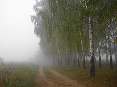 photo "* * * * *"