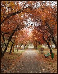 photo "Autumn in Almaty"
