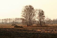 фото "осенние поля"