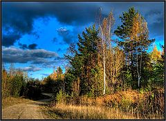 фото "осень"