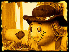 фото "Scarecrow / Пугало"
