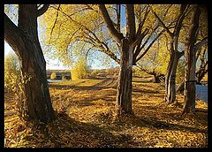 photo "What a beautiful autumn!!))"
