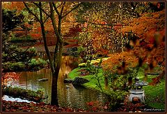 фото "Japanese garden"