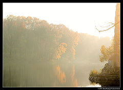 photo "***"