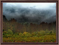 photo "Misty autumn"