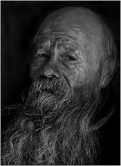 photo "Wise"
