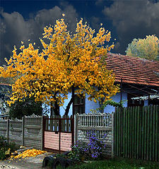 photo "Осненние доминанты"