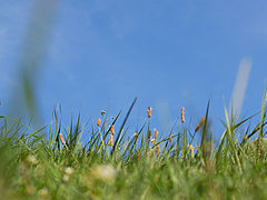 photo "***"