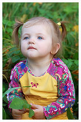 photo "***"