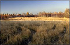 photo "Fields of Oktober"