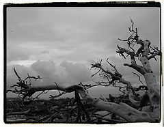 photo "***"
