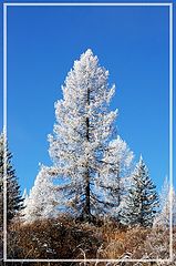 фото "Сказка"