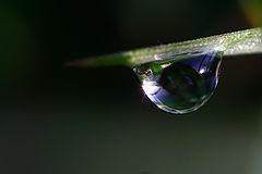photo "***"