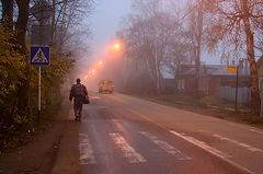 фото "..."