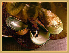 photo "Still life with mussels"