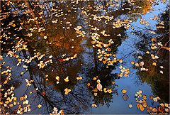 photo "Autumn mirror"