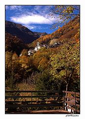 photo "autumn"