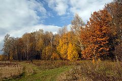 фото "На осеннем перепутье..."