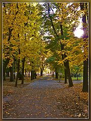 photo "Walk"