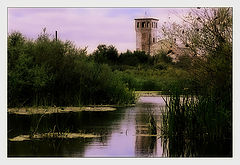 photo "Old tower on river Or"