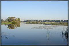 photo "Old channel of the Great river"