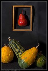 фото "Halloween"