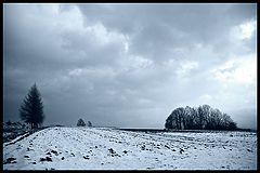 photo "...breathe..."
