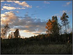 photo "Autumn evening"
