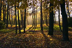 photo "Sunny October. Petersburg."