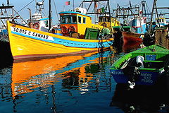 photo "Colors of the sea"