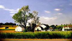 photo "The Perfect Farm"