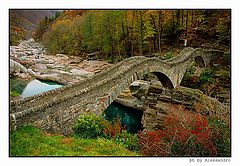 photo "autumn"