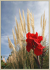photo "A bright day."