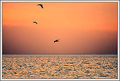 photo "Evening"