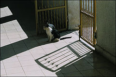 photo "The Gate with  "Face control"."