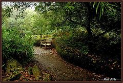 фото "a good meditation place !"