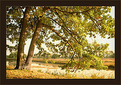 photo "Autumn etude"