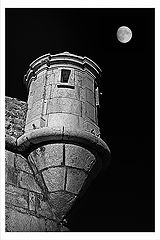 photo "Moon keeper"