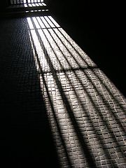 фото "Light."
