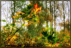 фото "Осенний вальс"