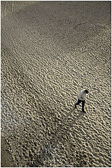 album "The roads which we choose"