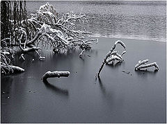 photo "***"