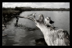 фото "...humanity: revealed..."