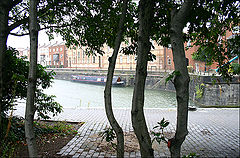 photo "Small rain"