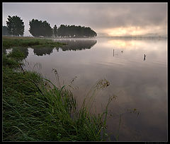 фото "Хмурое утро / 0172_0142"