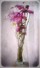 фото ".in love."