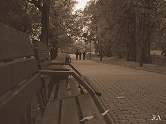 photo "***"