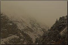 photo "***"