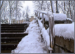 фото "stairway to knowledge"