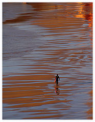 photo "Lonely Surfer"